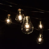 Hometown Evolution, Inc. Vintage Edison Outdoor String Lights (PS50 Clear - Black Wire, 100 ft) | Lumora