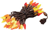 70 Light 24Ft Fall Thanksgiving Lights Commercial String Lights C6 LED Strawberry Faceted Bulb – Red/Orange/Yellow | Lumora