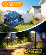 ELECLINK Solar Pathway Lights Outdoor, 6 Pack Garden Lights Solar Powered Path Lights with Focused Beam Lens, 2 Light Modes Waterproof Outdoor Solar Light for Yard Driveway Walkway Landscape