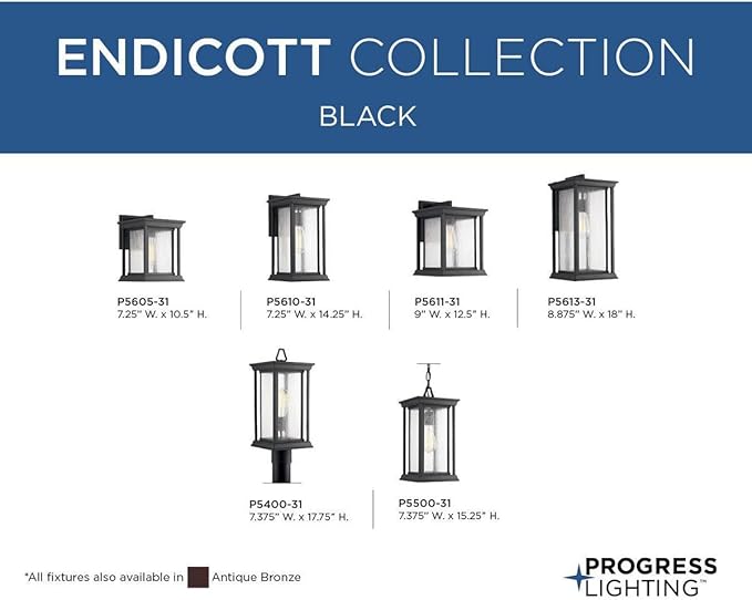 Progress Lighting Endicott Collection 1-Light Clear Seeded Glass Craftsman Outdoor Small Wall Lantern Light | Lumora