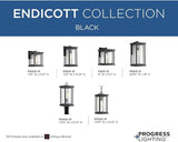 Progress Lighting Endicott Collection 1-Light Clear Seeded Glass Craftsman Outdoor Small Wall Lantern Light | Lumora