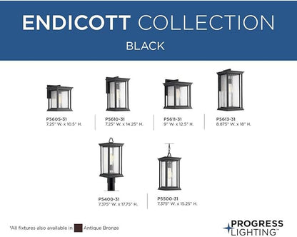 Progress Lighting Endicott Collection 1-Light Clear Seeded Glass Craftsman Outdoor Small Wall Lantern Light Textured Black