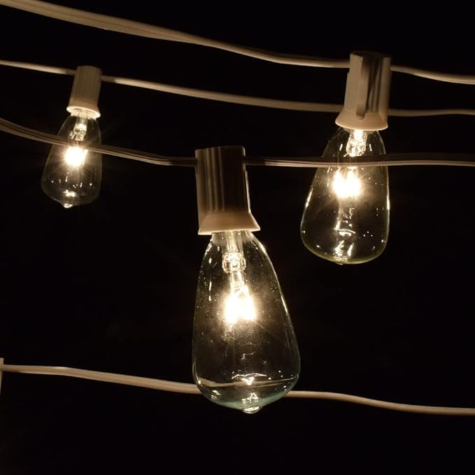 Hometown Evolution, Inc. Vintage Outdoor Patio String Lights with ST11 Clear Light Bulbs (White Wire, 10 ft)