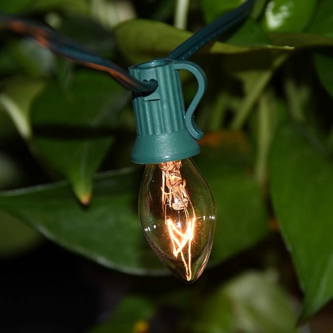 GOOTHY 25 Pack C7 Clear Christmas Light Bulbs, C7 Incandescent Christmas Replacement Lights Bulbs for Outdoor | Lumora