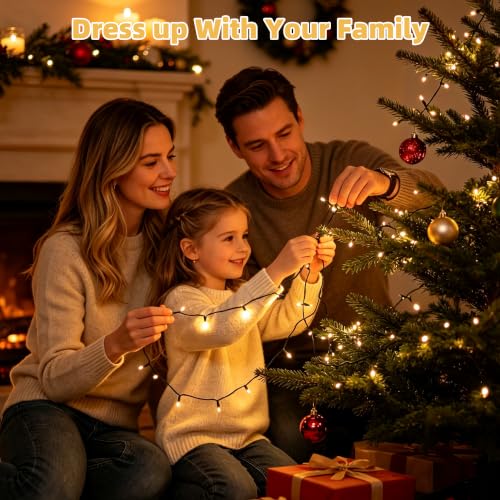 Chuya Christmas Tree Lights Outdoor Indoor String Lights,1000 LED 328FT