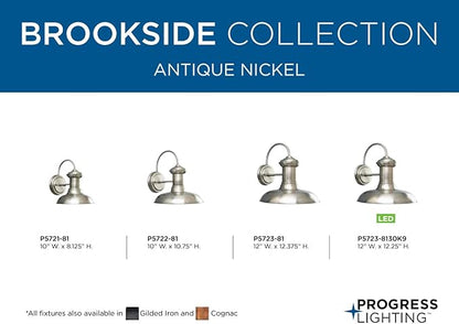 Progress Lighting P5722-81 Brookside Outdoor, 10-Inch Width x 10-3/4-Inch Height, Nickel