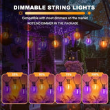 LAMPHOME Orange & Purple ST38 LED Outdoor String Lights,26FT Patio Lights with 12+1 Shatterproof Edison Bulbs,UL Waterproof Connectable Dimmable Hanging Lights for Halloween Backyard Porch Decor