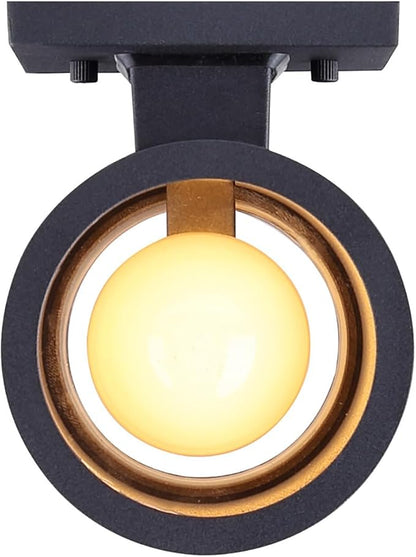 Canarm Baylyn 2-Light Outdoor Wall Sconce, Black Finish Up/Down Light, Easy Install Durable Wet-Rated Outdoor Lighting for Porch, Patio, Entryway or Garden