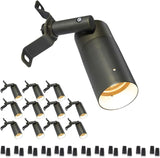Gardenreet 12V Brass Spot Downlight, Outdoor Low Voltage LED Landscape Tree Mounted Lights for Wall Garden Yard | Lumora