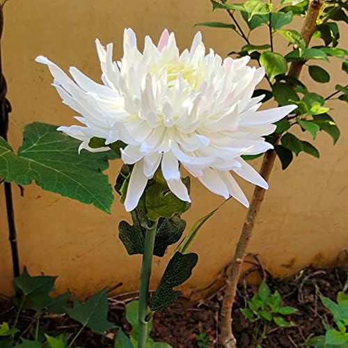 4 Pack Outdoor Solar Lights, Solar Garden Lights with 4 Bigger Chrysanthemum Flowers, Waterproof Outdoor Lights - Bigger Solar Panel for Garden Patio Yard Pathway (4pack White)