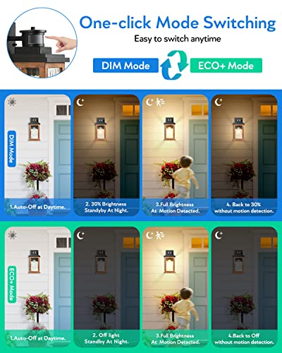 VIANIS Dusk to Dawn Outdoor Lighting for House, Outdoor Lights Fixture, E26