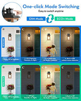 VIANIS Dusk to Dawn Outdoor Lighting for House, Outdoor Lights Fixture, E26