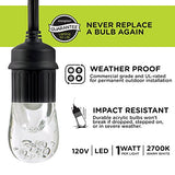 Enbrighten Classic Outdoor String Lights, 36ft, 18 Bulbs, White Light Only