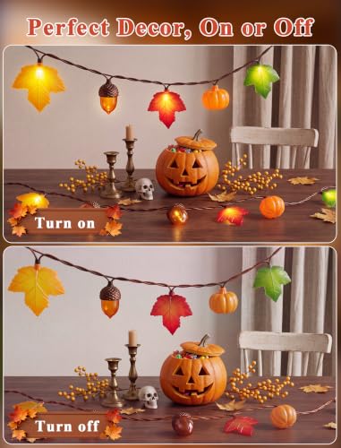 Fall Decor String Lights, 8.5FT 10 LED Thanksgiving Lights Outdoor Plug in