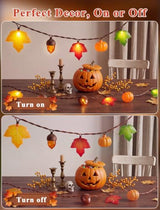 Fall Decor String Lights, 8.5FT 10 LED Thanksgiving Lights Outdoor Plug in
