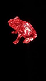 Starry Illuminate 3 PCS Solar Color Changing Style Garden Stake Light Pathway Stake Light (Frog) | Lumora