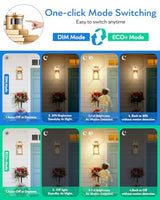 VIANIS Gold Motion Sensor Outdoor Lights Lantern, Exterior Lights for House