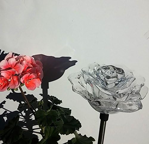 Beautiful Solar Clear Rose Light , Multi-color Color Changing Flower Garden Stake Outdoor Yard Decor Landscape LED Lamp Lights, Great Gift by Florals