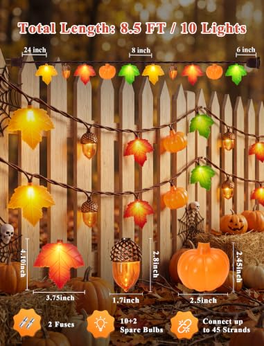 Fall Decor String Lights, 8.5FT 10 LED Thanksgiving Lights Outdoor Plug in