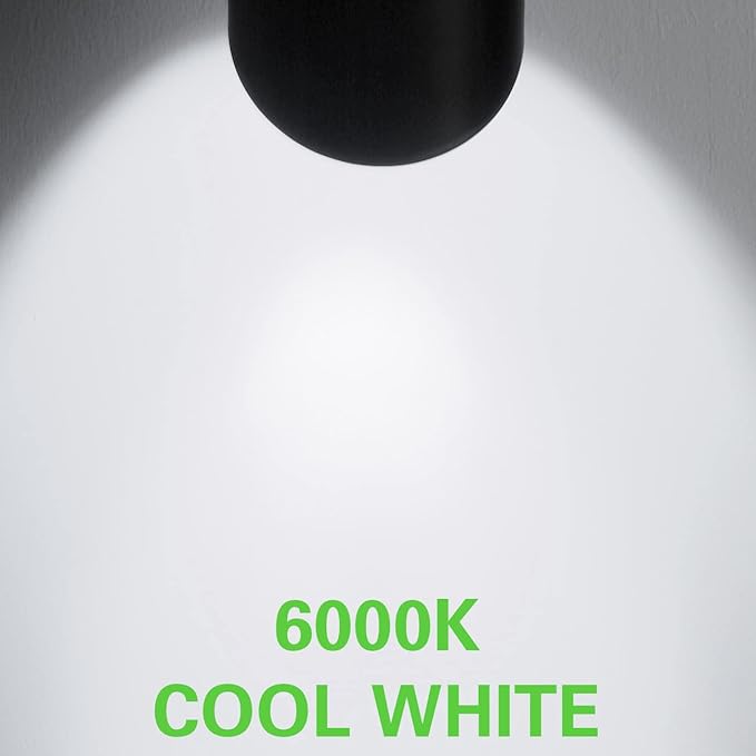 30W LED Landscape Spotlight, Flag Pole Light,110-260V Outdoor Spotlights Weatherproof Landscape Lighting with Stake US, 3-Plug 8.2FT Cord 2PACK, 3000LM,(6000K Cool White)