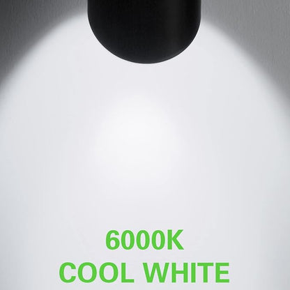 30W LED Landscape Spotlight, Flag Pole Light,110-260V Outdoor Spotlights Weatherproof Landscape Lighting with Stake US, 3-Plug 8.2FT Cord 2PACK, 3000LM,(6000K Cool White)