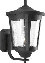 Progress Lighting East Haven Collection 1-Light Clear Seeded Glass Transitional Outdoor Large Wall Lantern Light | Lumora