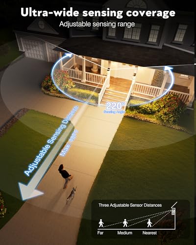 VIANIS 2 Pack Motion Sensor Outdoor Lights for House, Anti-Rust, Waterproof