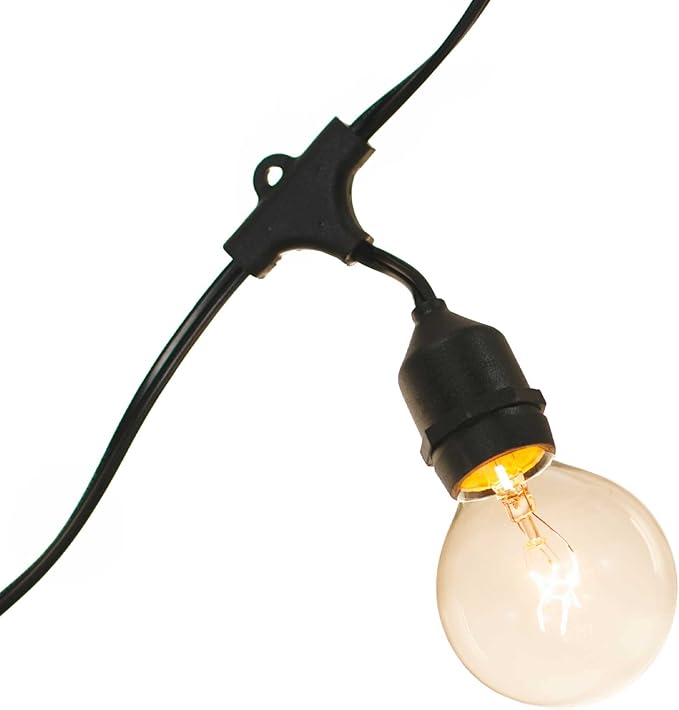 EST. LEE DISPLAY L D 1902 Indoor ＆ Outdoor G50 Globe Light Bulbs, Transparent Clear Color Glass, Incandescent | Lumora