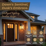 Black Brush Gold Porch Light, Dusk to Dawn Wall Mount Outdoor Light