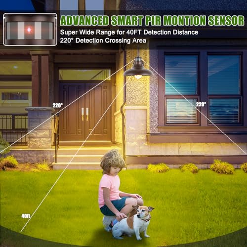 Motion Sensor Outdoor Barn Lights, Dusk to Dawn Farmhouse Gooseneck Lights