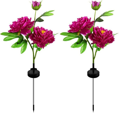 Solar Peony Flower Lights 2pcs Waterproof Garden Outdoor Lights Led Decorative Flowers Stake Light for Home Backyard Pathway Patio Yard Walkway Decoration (Rosy)