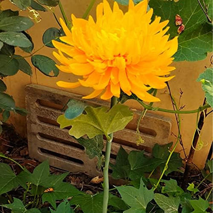 BesT To Buy 4 Pack Outdoor Solar Lights, Solar Garden Lights with 4 Bigger Chrysanthemum Flowers, Bigger Solar Panel for Garden Patio Yard Pathway 1 White 1 pink 1 Yellow