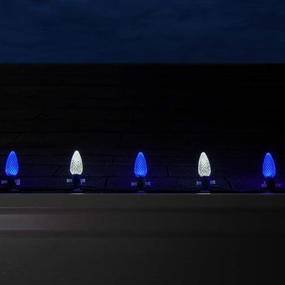Wintergreen Lighting OptiCore 50 Lights, 50 ft Blue/Cool White C9 LED Christmas Lights Outdoor – Commercial-Grade, Parallel Wired, Customizable, Energy Efficient, 18 Gauge, IP67