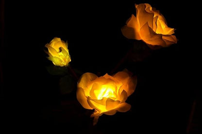 Solaration 1039-Y Waterproof 3 Rose Solar Powered LED Garden Lights, Solar Path Lights for Patio Deck Driveway Christmas Party, Yellow