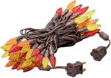 Novelty Lights 24FT 70 LED C6 LED Thanksgiving String Lights, Outdoor Christmas Tree Commercial Grade LED String | Lumora