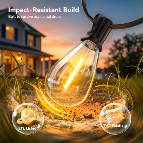 30FT Outdoor String Lights with Remote, Waterproof Patio Lights with 10+1 Shatterproof LED Bulbs,Dimmable Hanging Decor for Backyard Garden Porch Bistro, Timer & 3 Modes,2200K Warm White