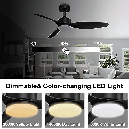 48" Smart Ceiling Fans with Lights Remote,Outdoor Indoor,Black,Easy Install