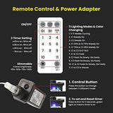 116ft Color Changing String Lights, 200 LED Multicolor & Warm White Crystal Globe Lights with Remote, 11 Modes | Lumora