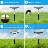 S NMT LED Garden Solar Pathway Lights，Outdoor Motion Sensor Landscape Lights for Garden Lighting, IP65 Waterproof | Lumora