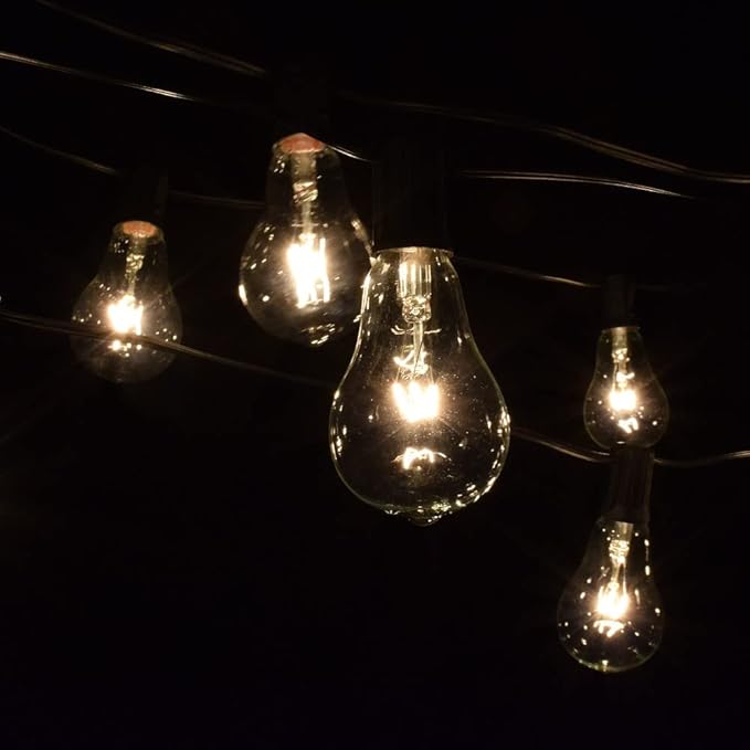 Hometown Evolution, Inc. Vintage Edison Outdoor String Lights (PS50 Clear - Black Wire, 10 ft) | Lumora