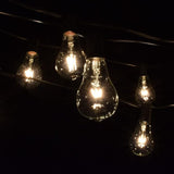 Hometown Evolution, Inc. Vintage Edison Outdoor String Lights (PS50 Clear - Black Wire, 10 ft) | Lumora
