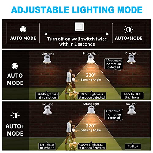 LONEDRUID 2 Pack Dusk Dawn Motion Sensor Outdoor LED Porch Light Fixtures