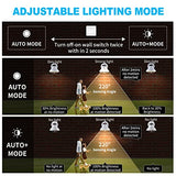 LONEDRUID 2 Pack Dusk Dawn Motion Sensor Outdoor LED Porch Light Fixtures