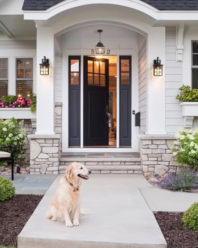 VIANIS Outdoor Pendant Lights, Black Outdoor Lanterns for Front Porch