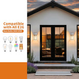 2 Pack Silver Outdoor Wall Sconce Lights Wall Mount, Waterproof Exterior Lighting Fixtures, Outside Front Porch Lights for House, Outdoor Lantern Lamp, Coach Light for Garage Entryway