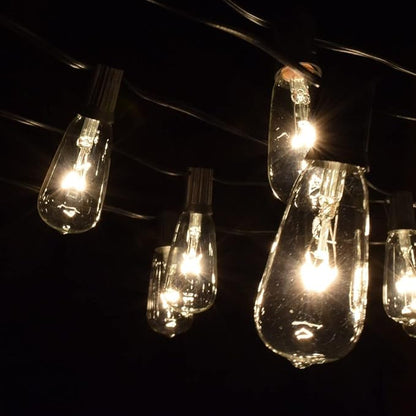 Hometown Evolution, Inc. Vintage Edison Outdoor String Lights (ST40 Clear - Black Wire, 10 ft)