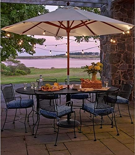 Outdoor String Lights 48ft with LED Filament Bulbs 23+2(Spare) Dimmable Shatterproof Waterproof, for Indoor/Outdoor Decoration and Lighting, Edison Vintage Style Warm 2200K