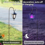 Dynaming 4 Pack Solar Halloween Flame Hanging Lights Outdoor, Flickering Flame LED Garden Lanterns with 4x38 Inch Shepherd Hooks, Landscape Lighting Waterproof for Lawn Yard Pathway Driveway, Purple