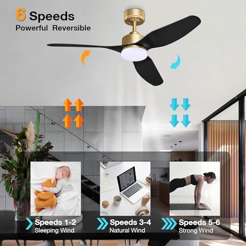 48 Inch Smart Ceiling Fans with Lights Remote,Outdoor Indoor,Gold and Black