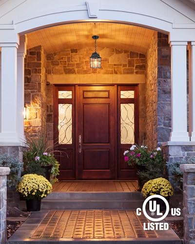 VIANIS Outdoor Pendant Lights, Black Outdoor Lanterns for Front Porch